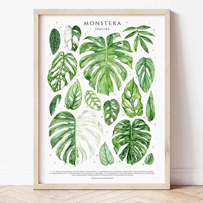 Modern Houseplants Wall Art Print
