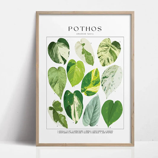 Modern Houseplants Wall Art Print