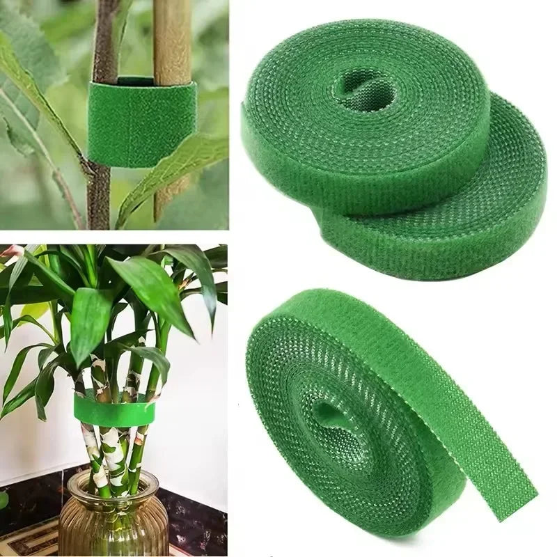 Plant Support