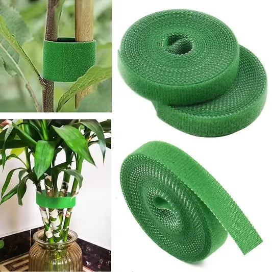 Plant Support