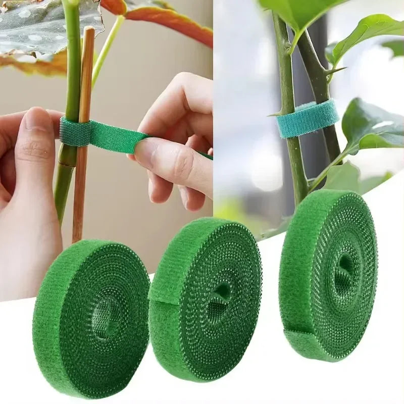 Plant Support