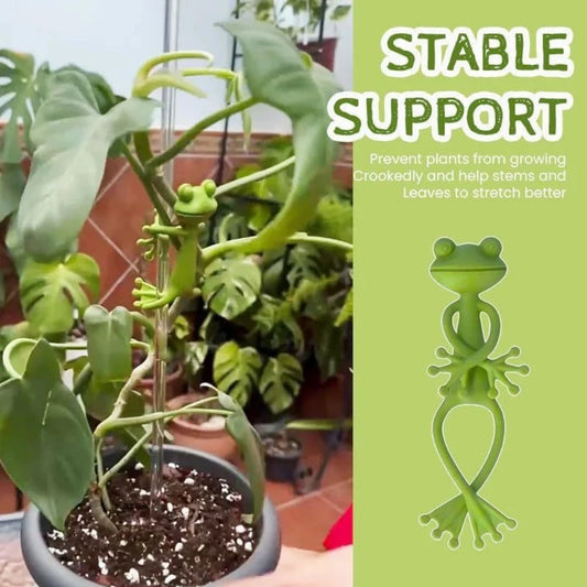 Frog Plant Support