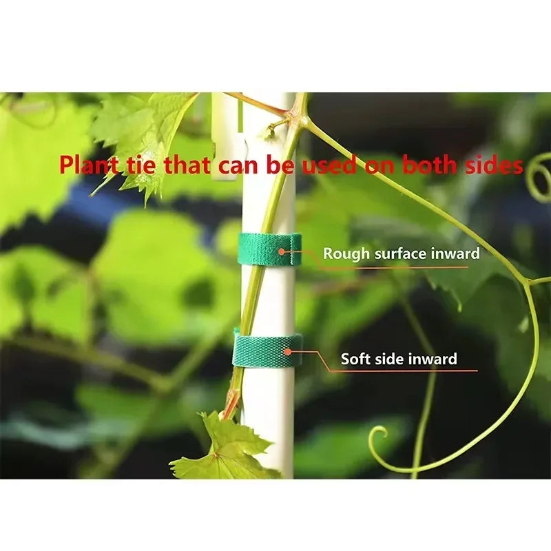Plant Support