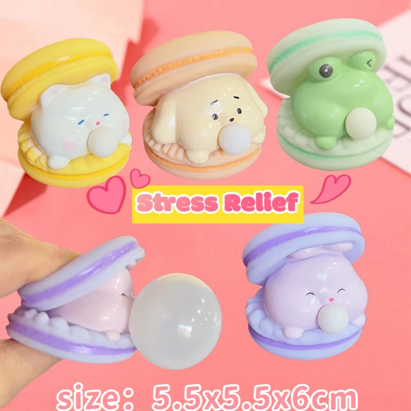Macaron Bubble Squishy Toy