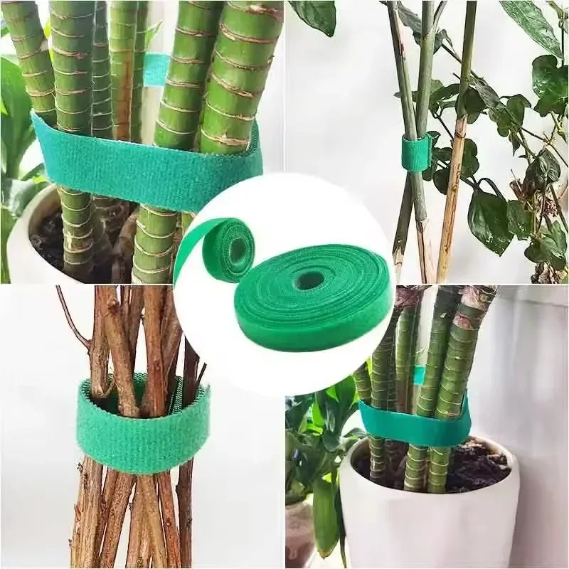 Plant Support