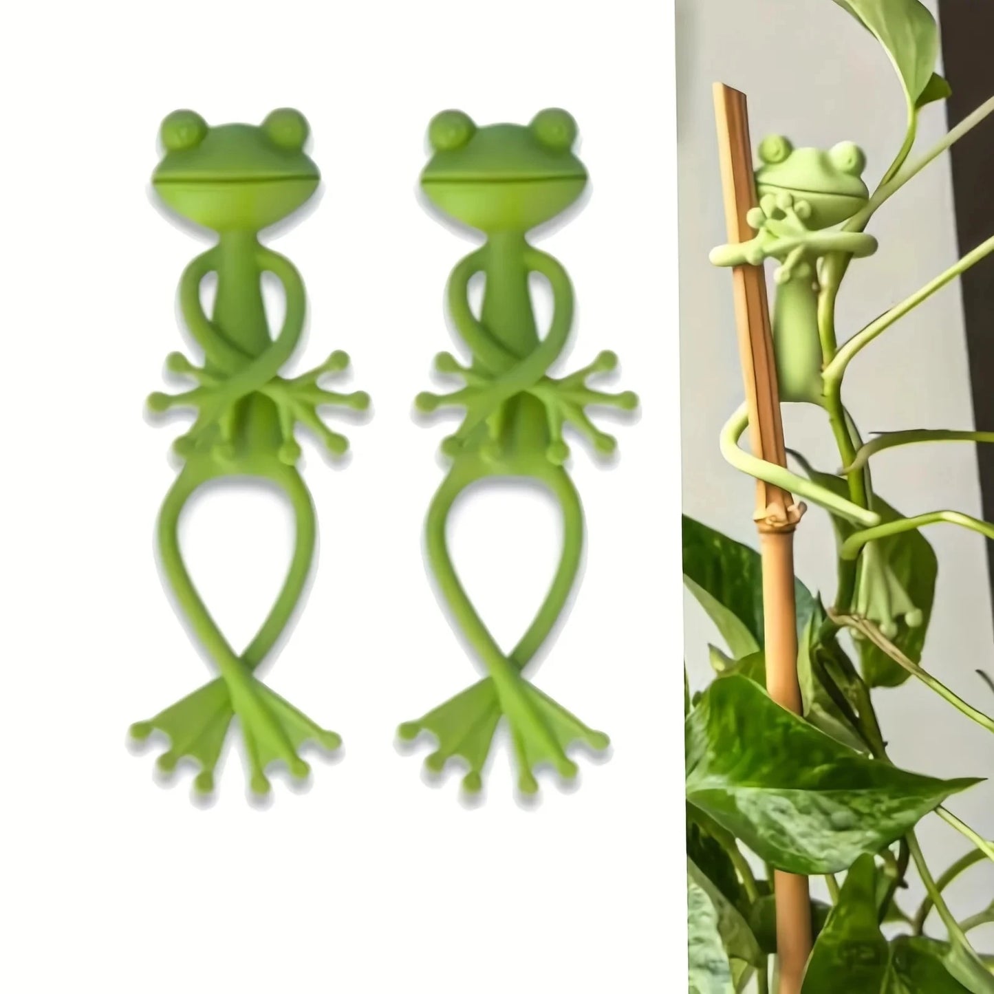 Frog Plant Support